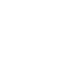 Bon Conseil Logo