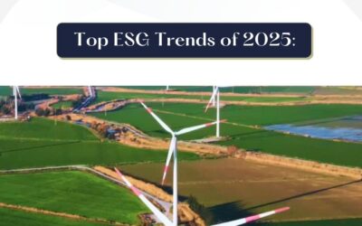 Top ESG Trends of 2025: From Decarbonization to Transparency in the UAE and Saudi Arabia