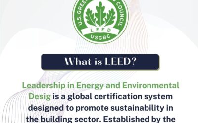 LEED: Redefining Sustainability in Construction