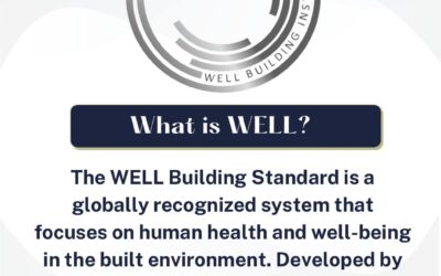 Transforming Workspaces with WELL Certification: A Game-Changer for Health and Well-being